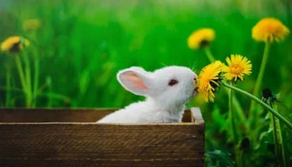 Kaiyun APP-沈阳城市加油站门将神勇表现，帮助球队守住胜利，沈阳有多少家加油站