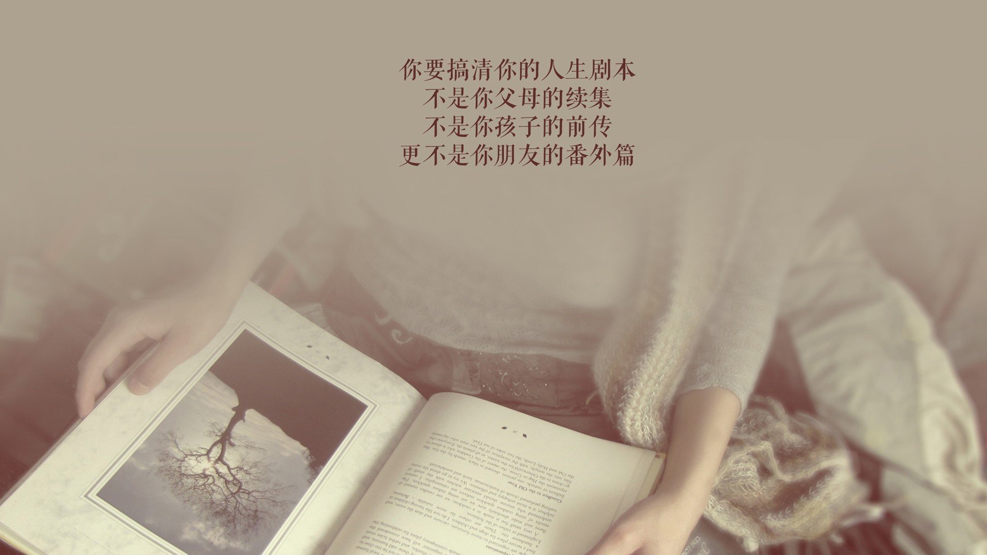 Dota 2 战队默契度提升明显，dota2选手moogy