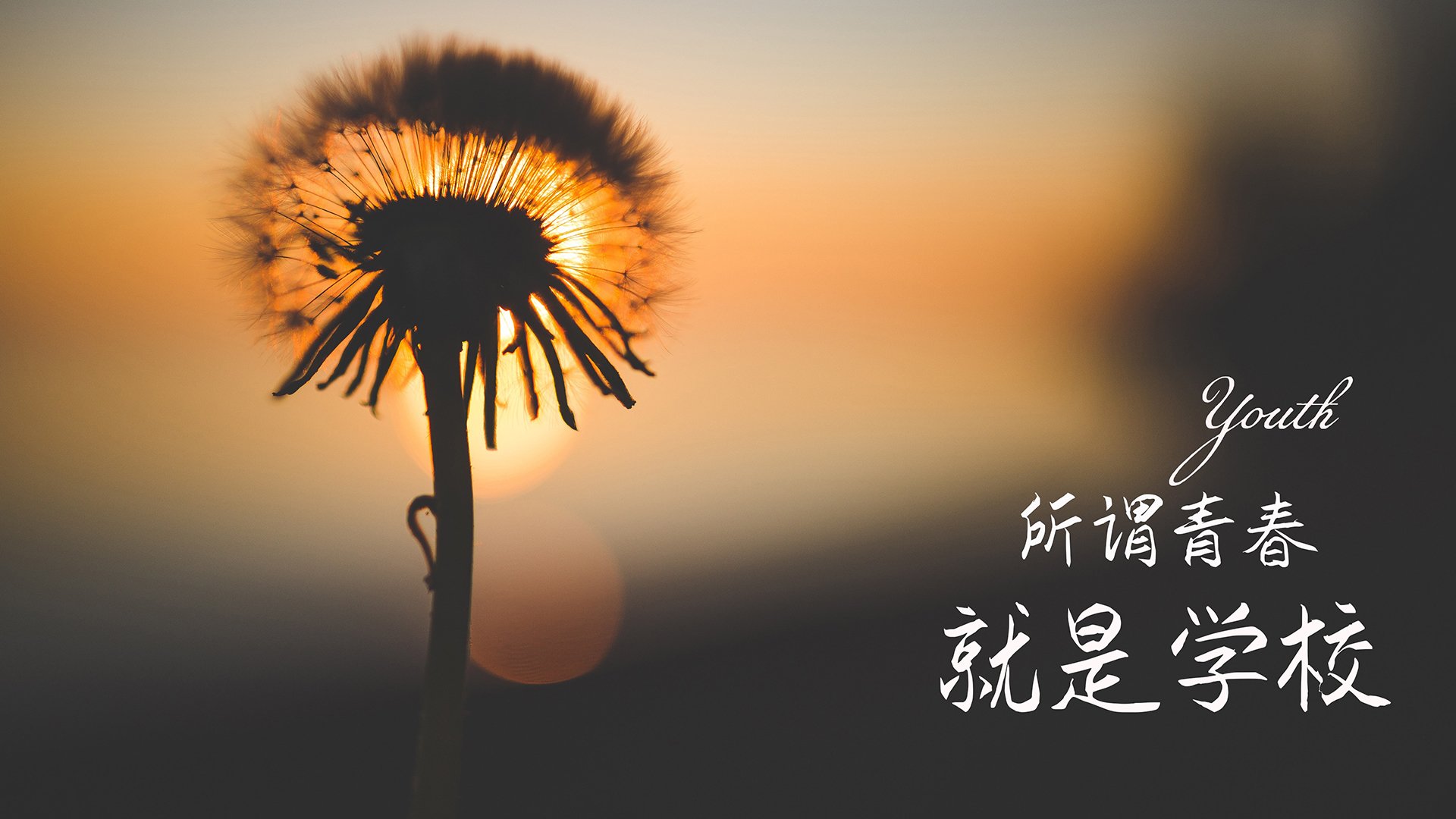 球迷“票选”：欧冠历史最佳阵容TOP20，欧冠历届冠军及最佳阵容新闻