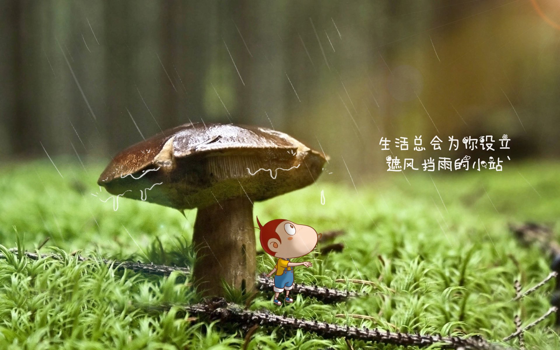 美国反曲弓男队在世界射箭锦标赛中夺冠，美国反曲弓品牌