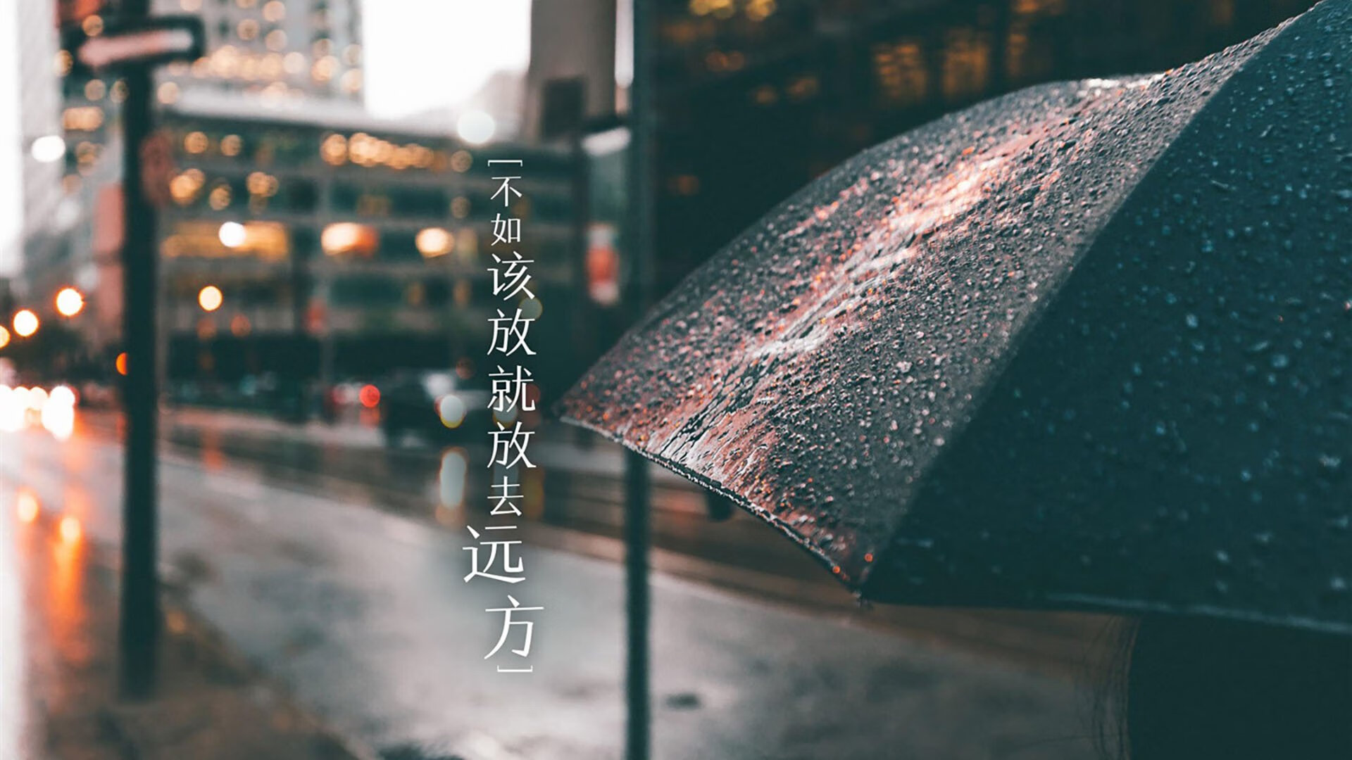 阿根廷马术代表队在亚洲马术锦标赛中获得团体金牌，展现国际竞争力。
