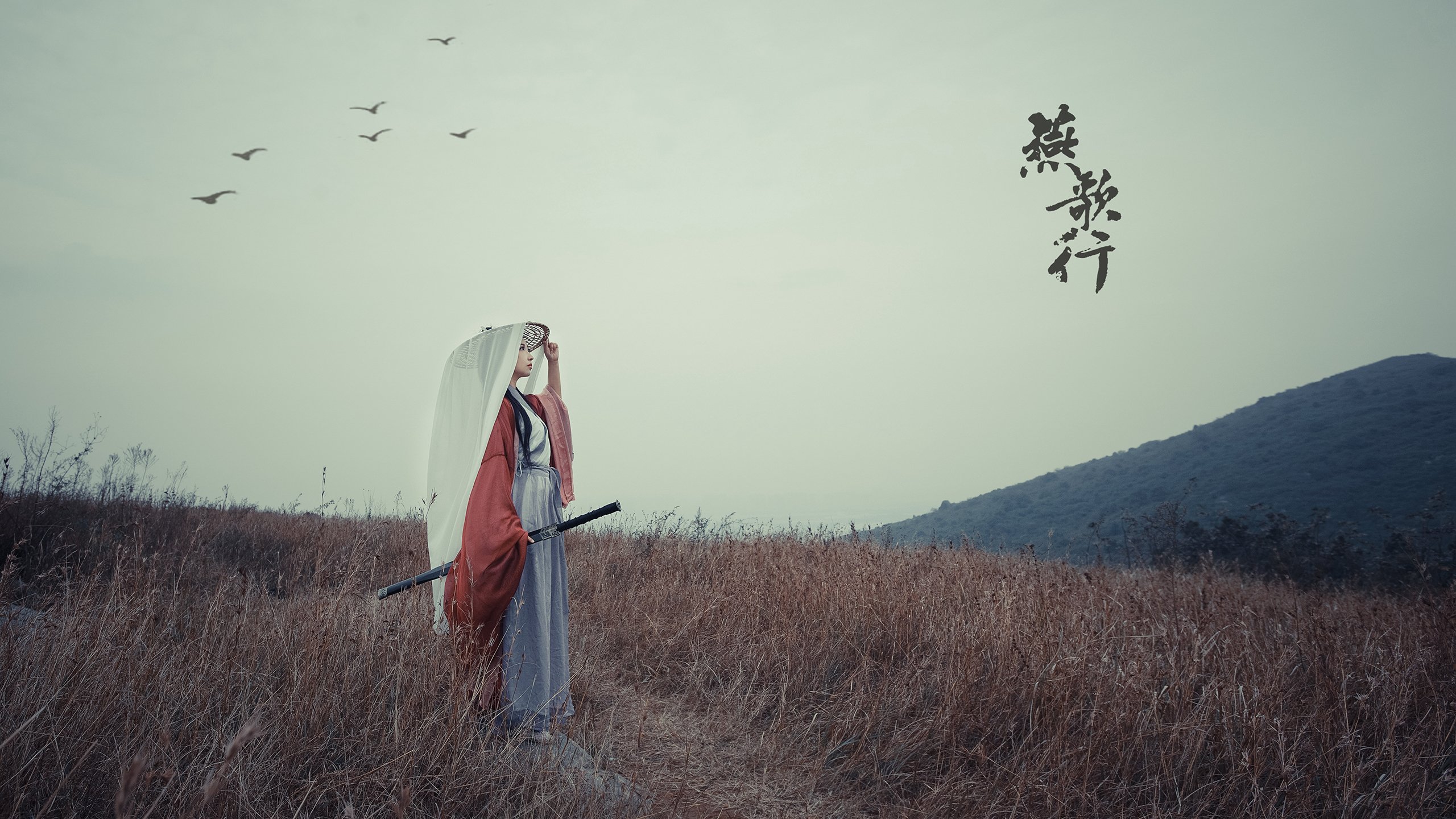 高手对决：两大巨星的巅峰正面对决，高手对决_两大巨星的巅峰正面对决在线观看