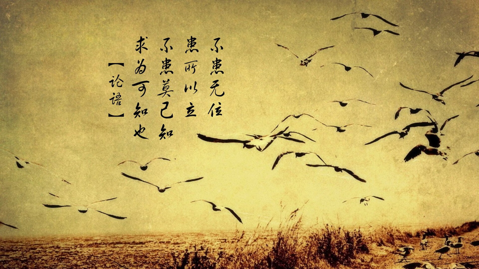 北京国安主场迎战上海上港，一场激烈的对决即将展开！，北京国安对上海上港比赛情况