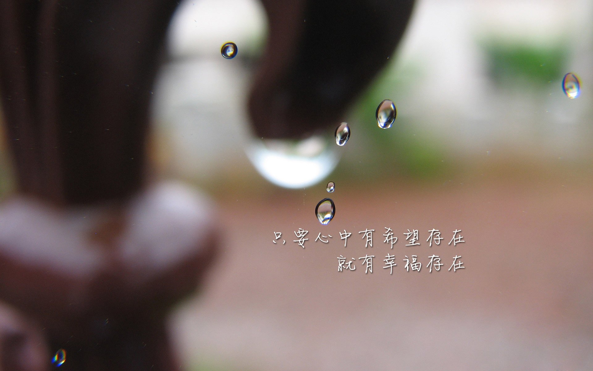 开拓者队球队赛季目标明确，开拓者队首发阵容