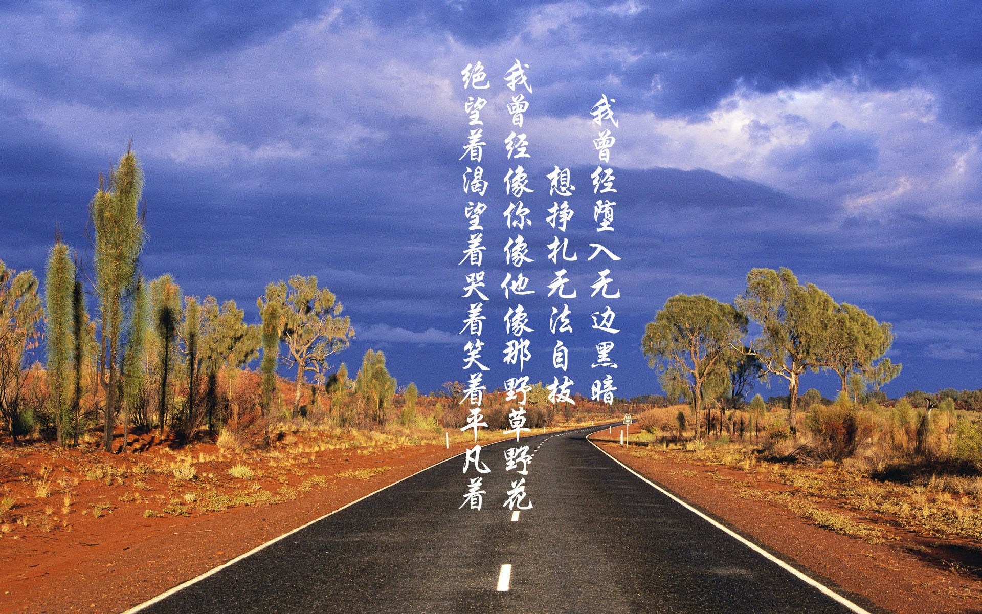 纽卡斯尔联主场1-0小胜诺丁汉森林，保级关键三分，纽卡斯尔联战绩