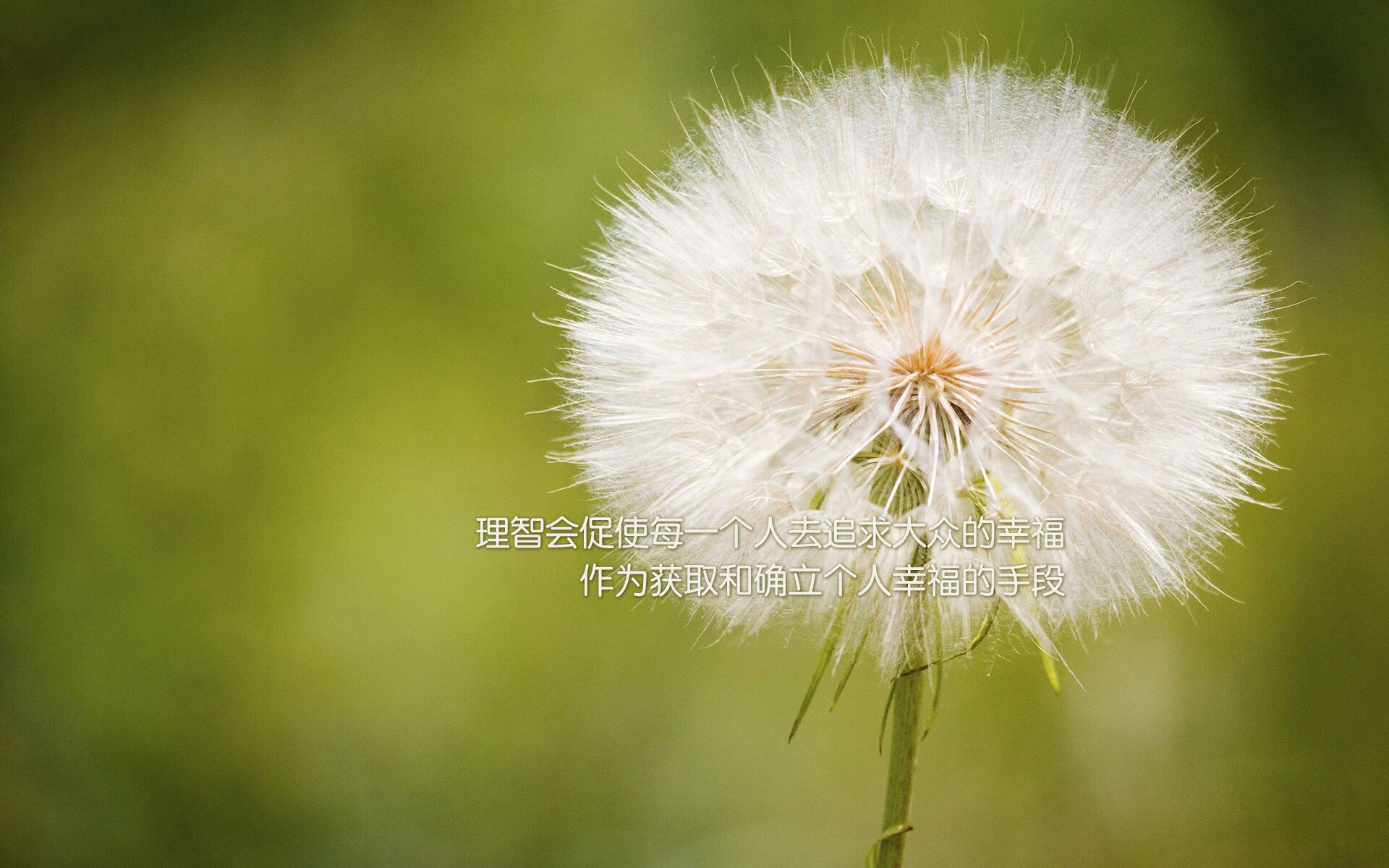 青少年篮球运动员伤病防护策略研究，篮球运动损伤与预防论文开题报告