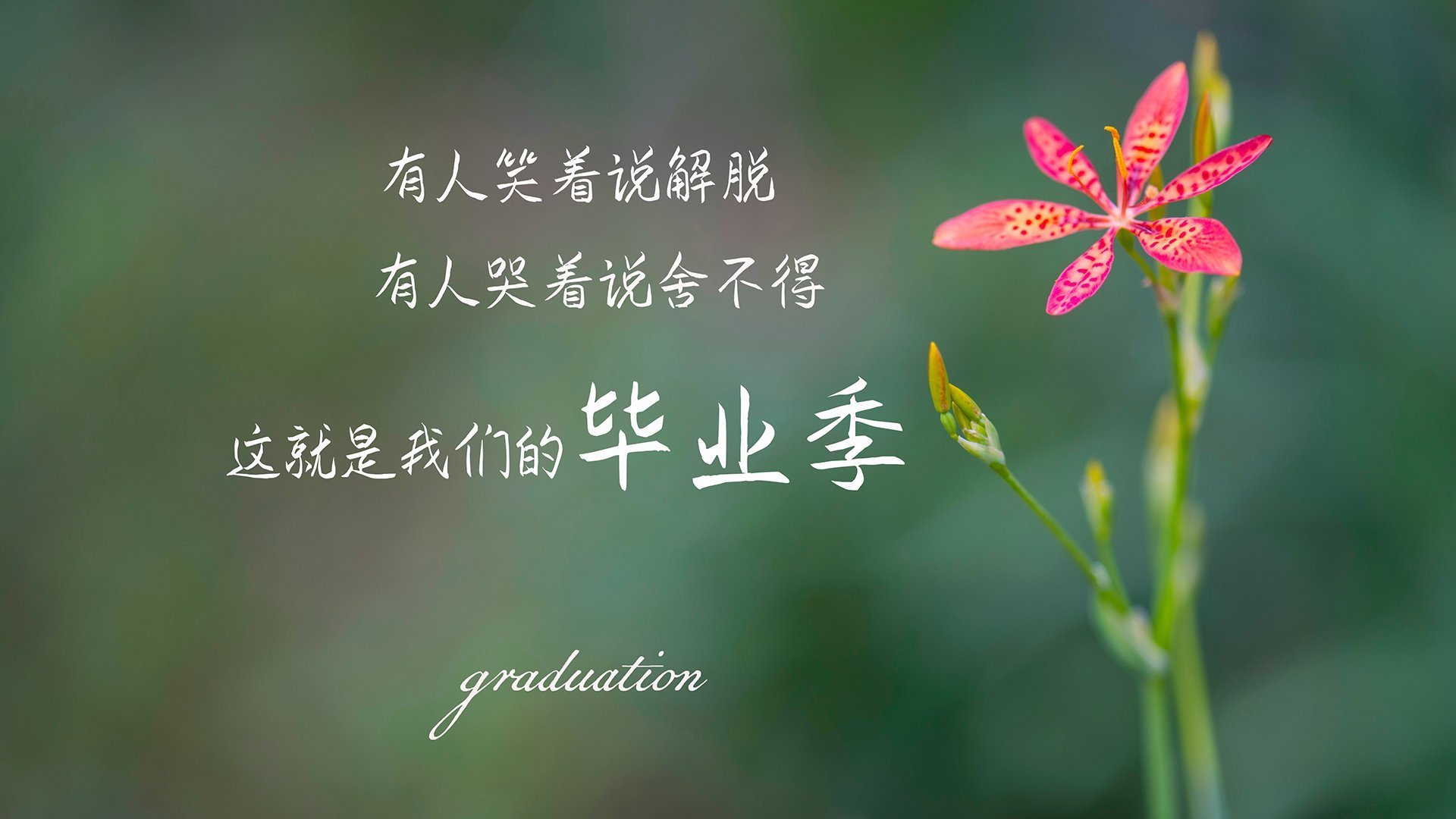 体育新闻中心协办国际体育数字传播技术峰会，数字体育产业