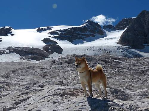 美队多项技术统计领先全球,美队多项技术统计领先全球的国家