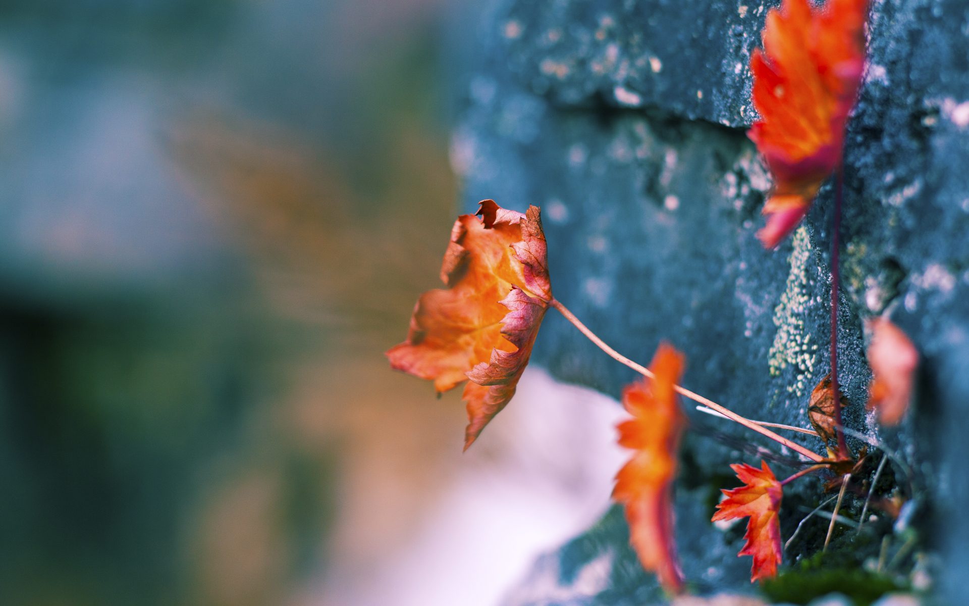 kaiyun体育app-高节奏阵容在体能消耗控制上应如何调配，体感节奏战