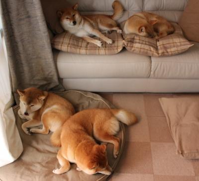 乌拉圭女篮在南美锦标赛中持续爆发,体育新星不断涌现,乌拉圭女子联赛