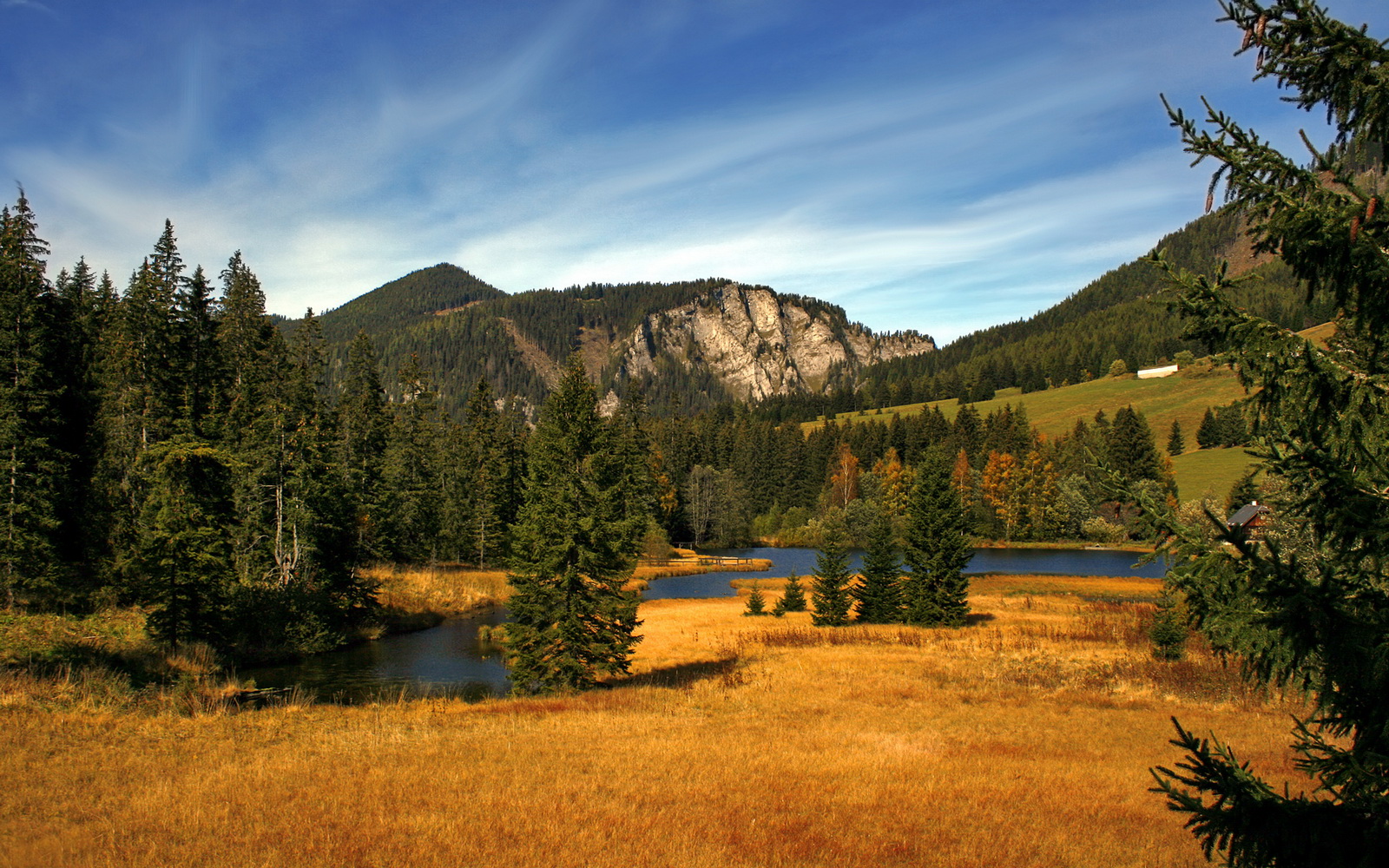 浓眉攻防一体湖人防守效率提升,浓眉伤后湖人战绩