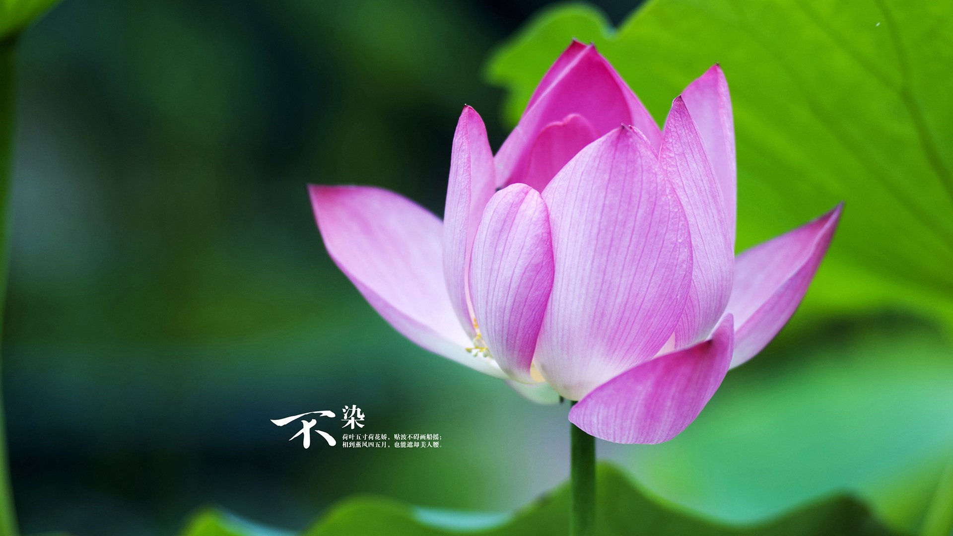 篮球特色学校建设步伐加快覆盖多个地区，全国篮球特色学校有什么好处