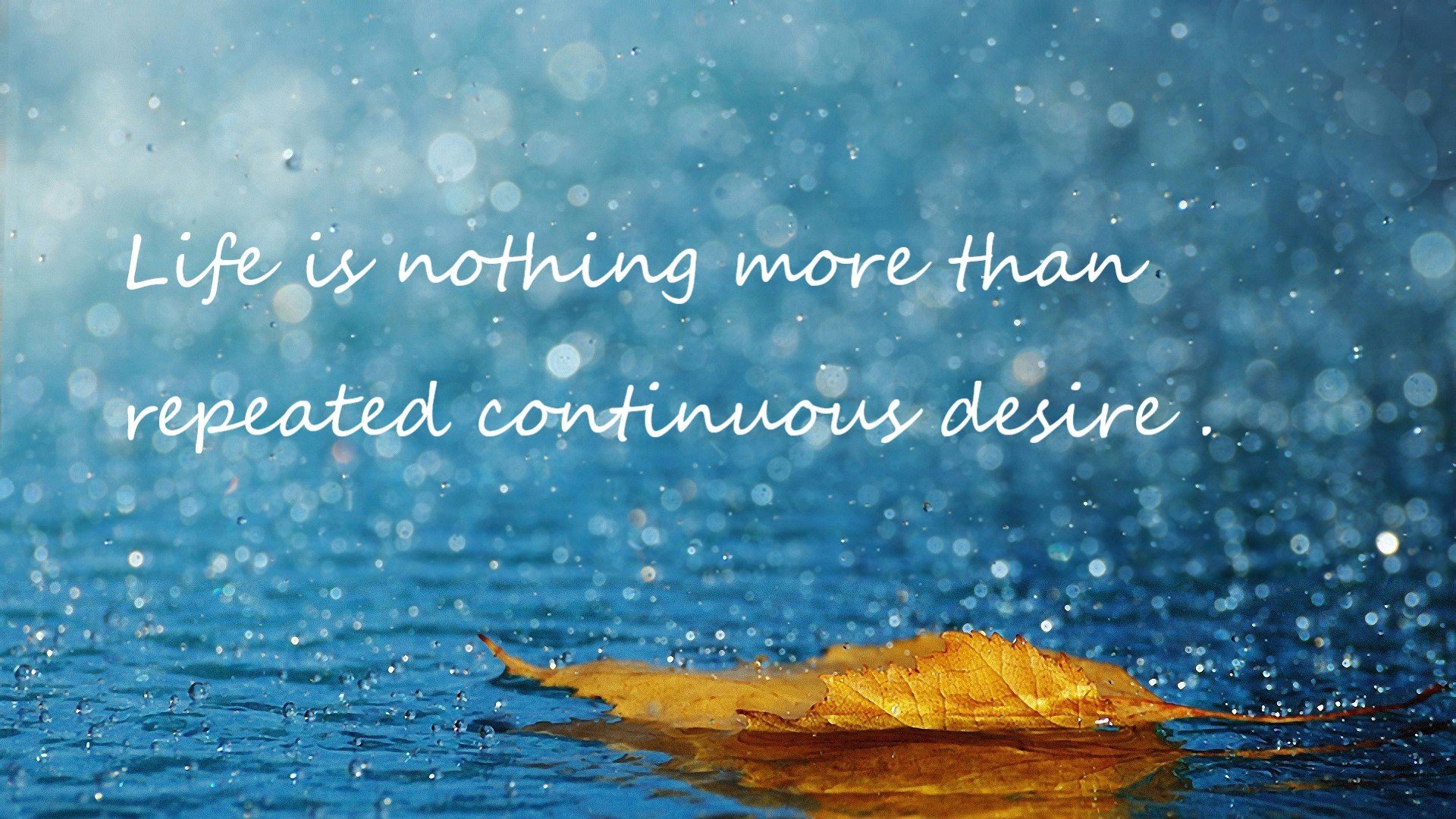 kaiyun中国官方网站-网球公开赛冠军争夺激烈，网球公开赛2020 tennis open 2020