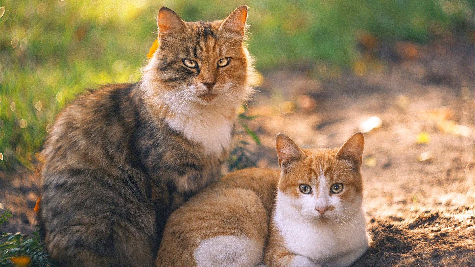 KAIYUN 中国大陆-西甲超神闪耀：经典过人瞬间！，西甲超级杯2021