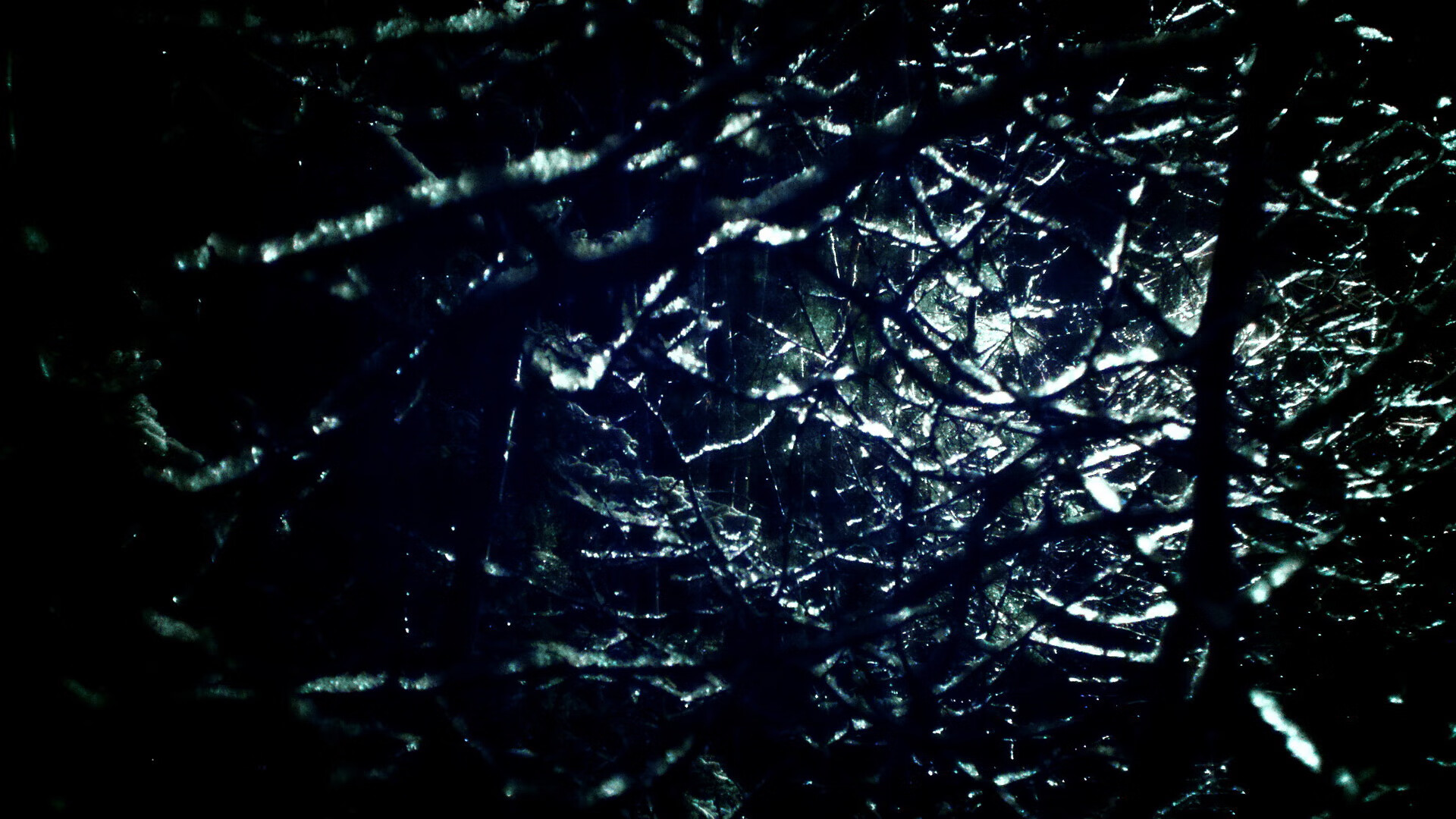 阿根廷青年新星崭露头角,国家队未来可期