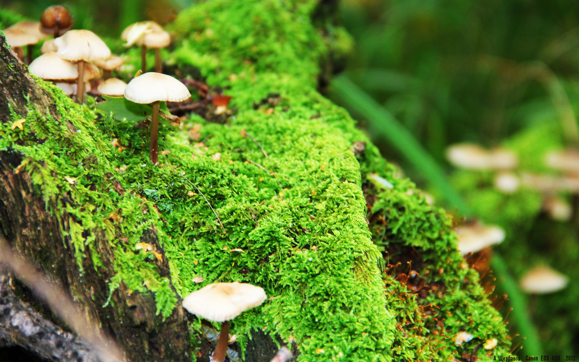 骑士训练结束后安排反思环节总结日常得失，骑士训练场