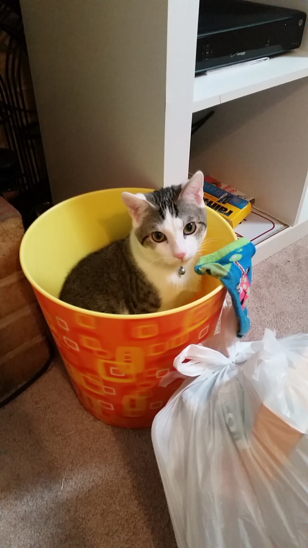 高尔强硬的突破能力,使袋鼠队进攻更具威胁