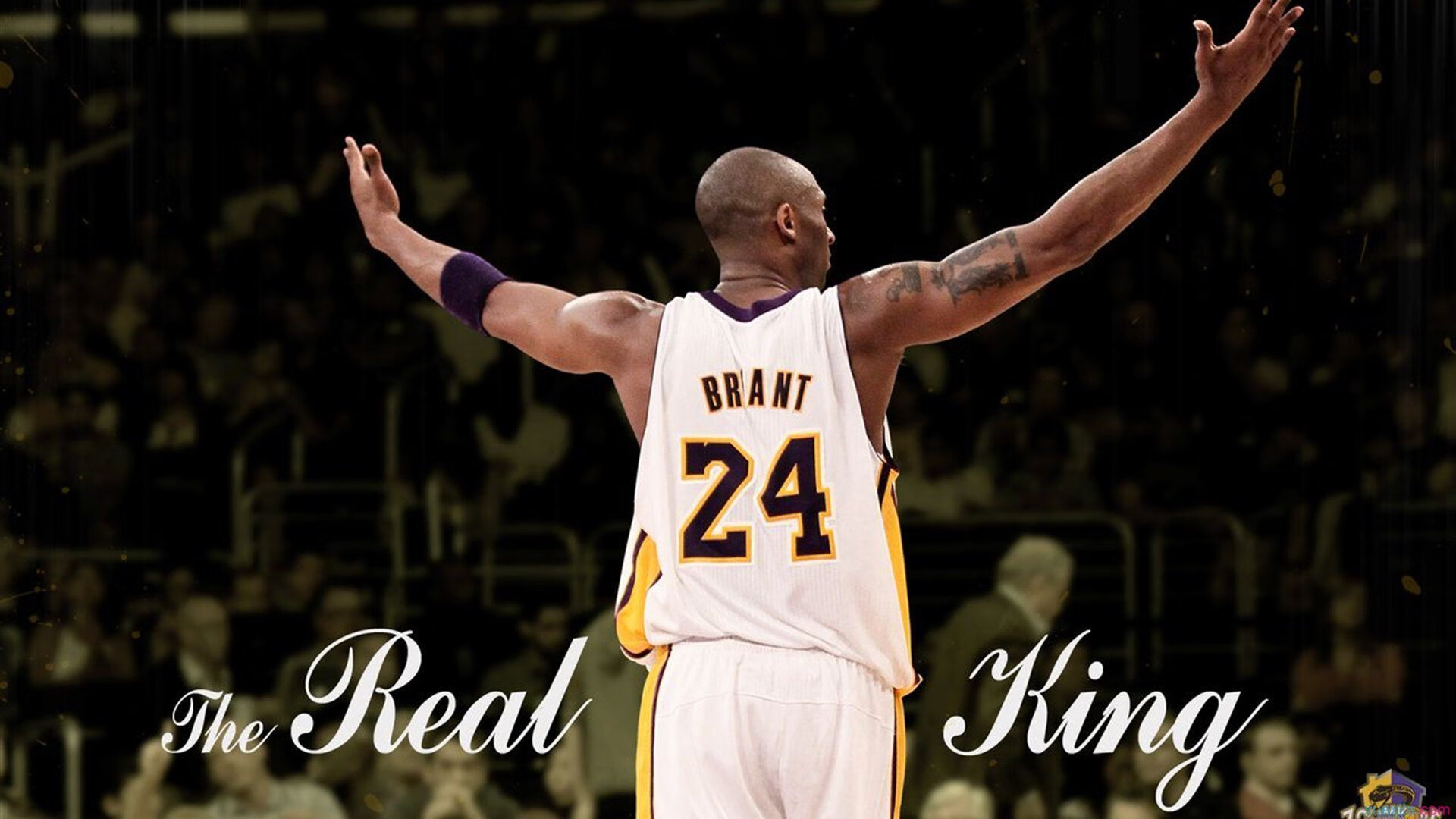 精彩封盖：刘强最后一攻封堵，守住胜利！，刘强最后咋样了